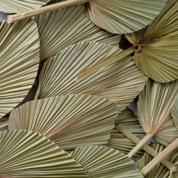 🌴🌙Romantic Wedding Decor 3Large organic Palm Leaves🌙🌴& 3 Small organic palms - Picture 2 of 15